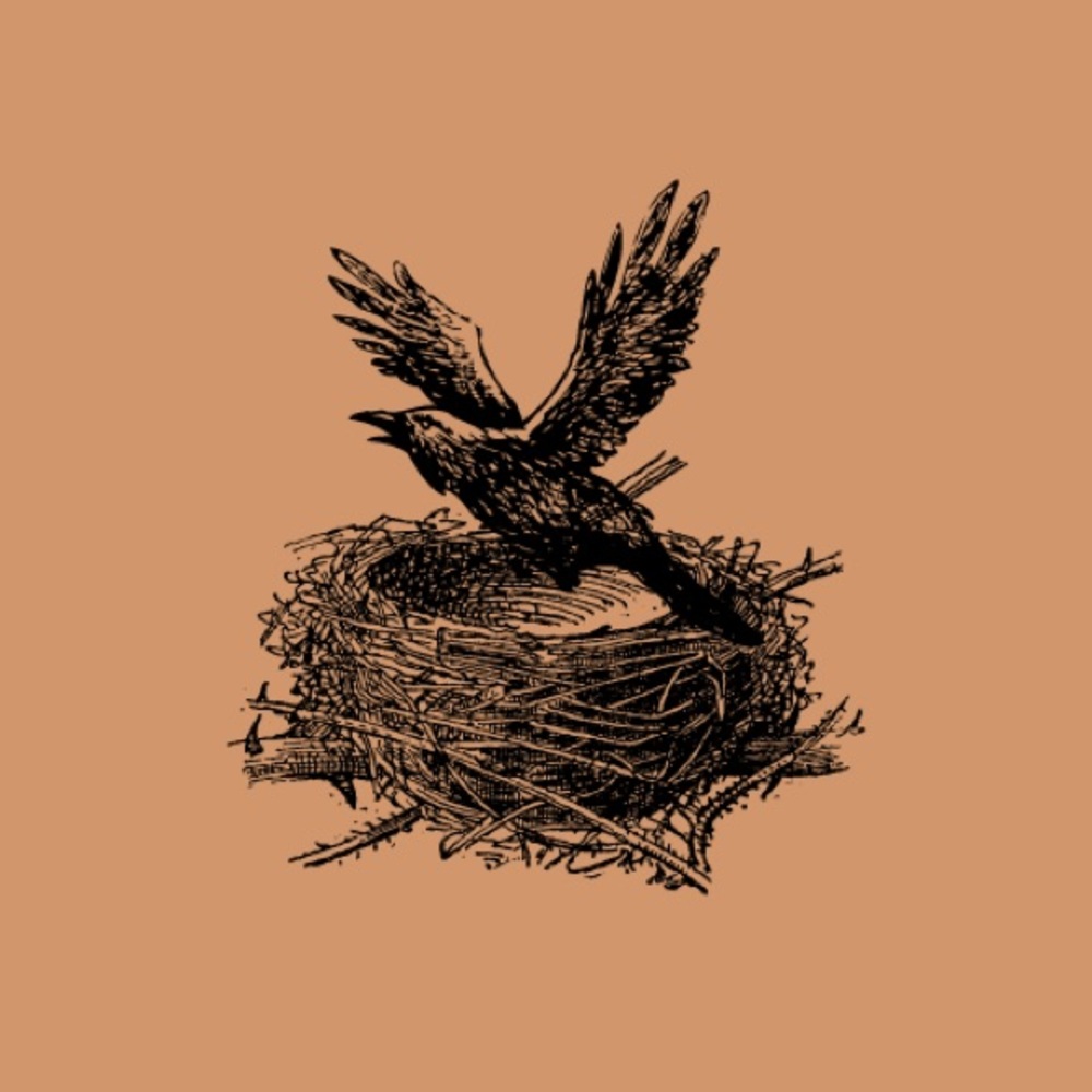 Meet your Posher, Raevon